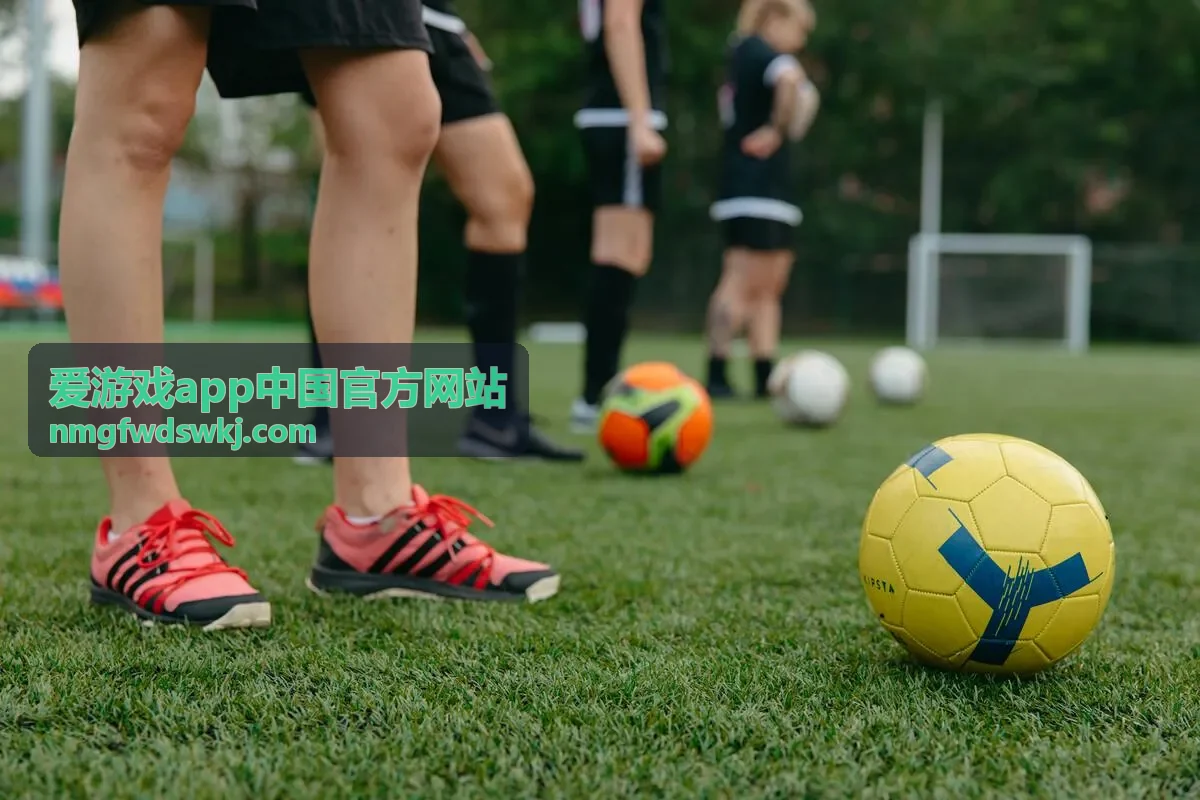 爱游戏app中国官方网站答疑说明封面